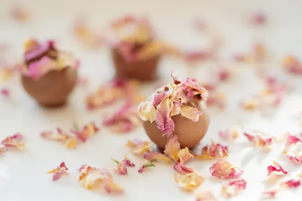 Casino Bella Vegas Android/iOS App